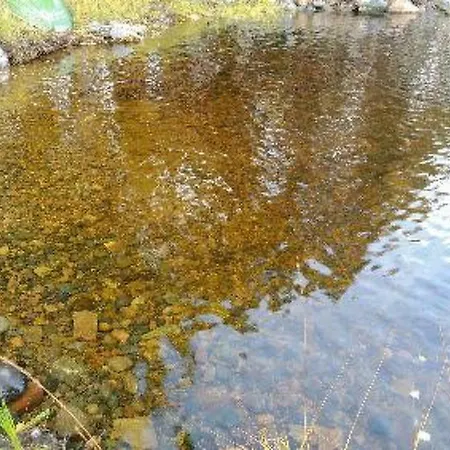 Holiday Koli, Purnun Piilo Колинкюла